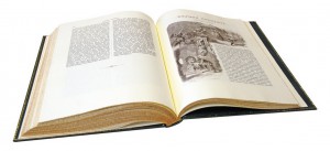 Иллюстрация из подарочной книги "Альбом русских народных сказок и былин"