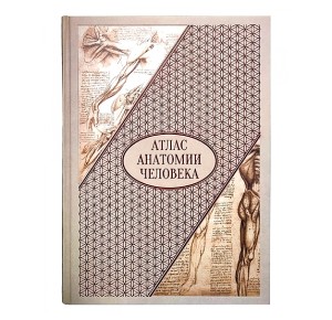 Атлас анатомии человека. Все органы человеческого тела. Большая коллекция. Книга в кожаном переплете