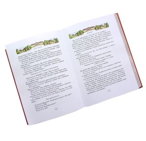 Разворот подарочной книги "Мертвые души"