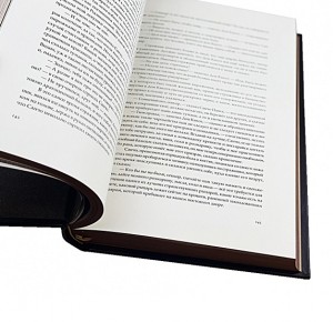 "Дон Кихот" Подарочная книга в 2-х томах - фото 7