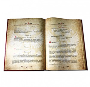Книга в кожаном переплете Конституция Российской Федерации - фото 4