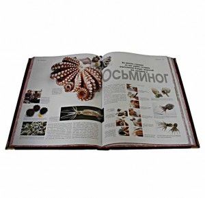 Подарочная книга Кулинария - фото 5