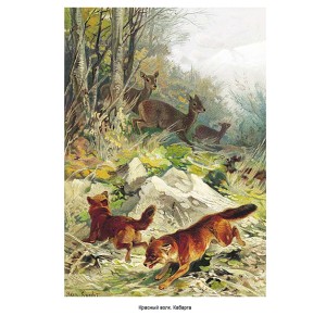 Фото красных волков на охоте из книги "Мир животных. Популярная психология животных"
