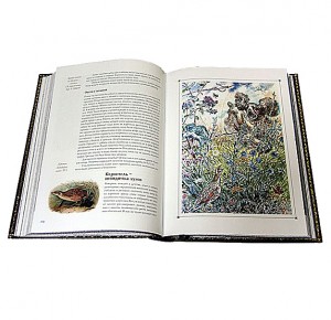 Разворот подарочной книги с иллюстрациями "Охота по перу" Фото 4