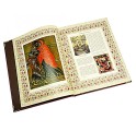 "Иллюстрированный Новый Завет" подарочная книга -фото 6