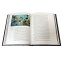 Разворот подарочной книги с иллюстрациями "Охота по перу" Фото 6