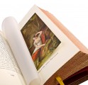 Иллюстрация к подарочному изданию "Женщины вокруг Наполеона"